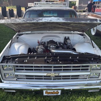 hood-strut-kit-for-chevy-trucks-3