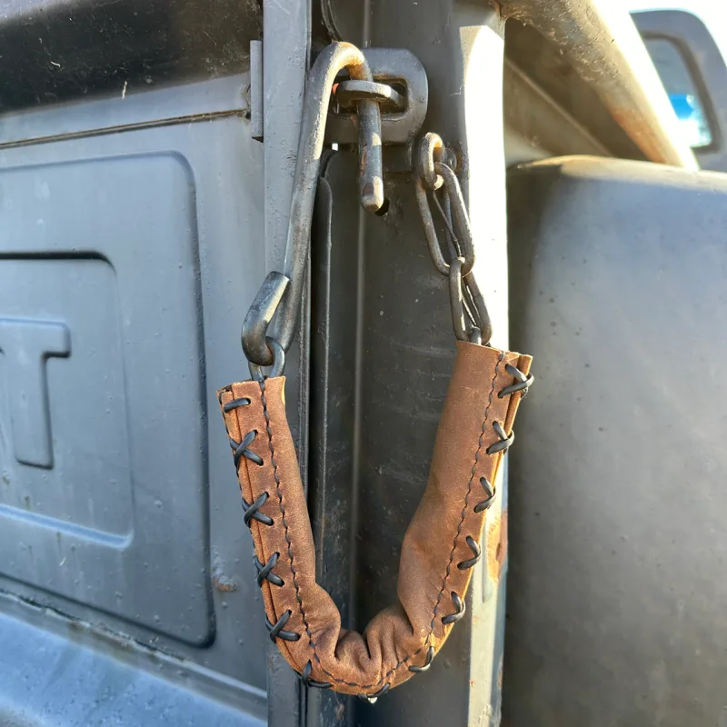 Tailgate chain covers shown installed on a classic Chevy truck