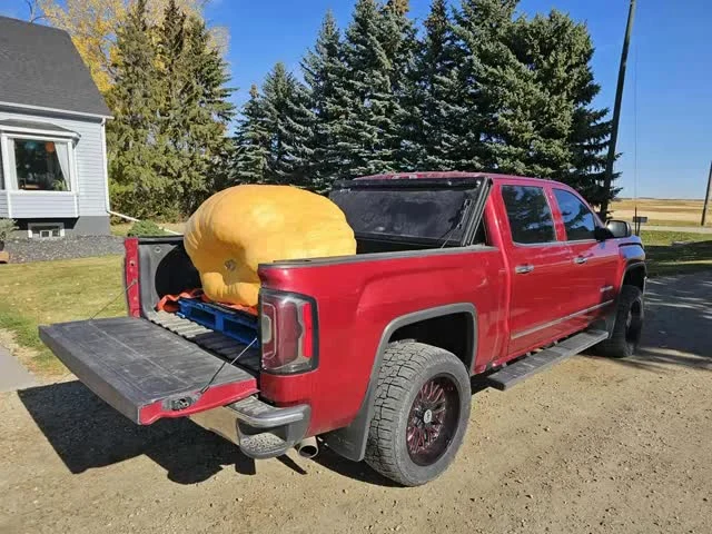 From bead rolls to big gourds… there’s nothing our fearless leader Chris Lange can’t give you a run for your money with !
He’s headed to the Smoky Lake Pumpkin Festival with his MASSIVE orange project. After a 7th place finish last year, let’s see if this year’s pumpkin has the weight to climb the ranks. 💪🎃
At LS Fabrication, we don’t just build custom truck parts… we grow competition pumpkins!
Because if you can bead roll a firewall, well you can bead roll…, maybe not a pumpkin. 😅
#PumpkinPower #LSFab #SmokyLakePumpkinFestival #CustomTrucksAndPumpkins